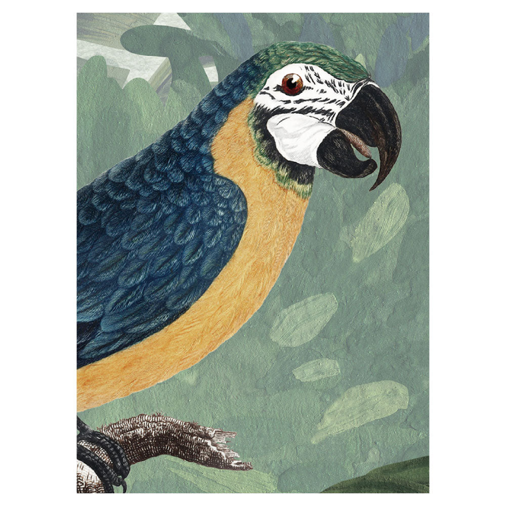 KIKKI BELLE Canopy Jungle Natural W13305