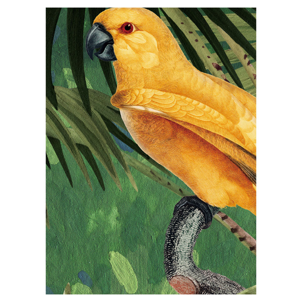 KIKKI BELLE Canopy Jungle W13306