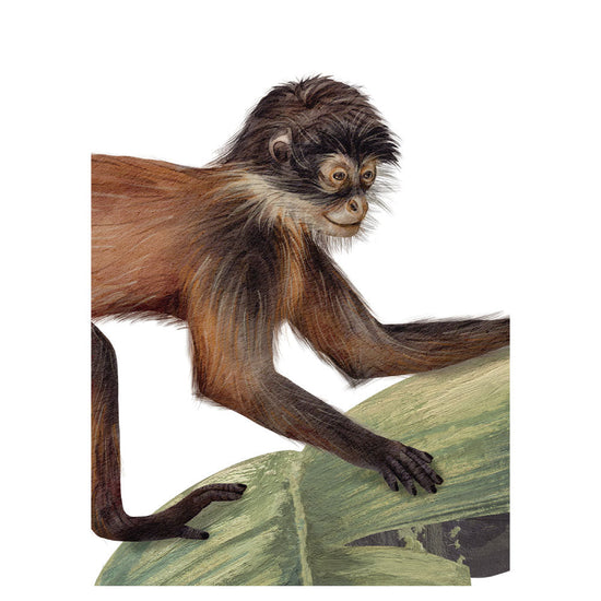 KIKKI BELLE Cheeky Monkeys W13307