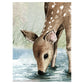 KIKKI BELLE Deer Forest Summer W13308