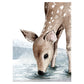 KIKKI BELLE Deer Forest Winter W13309
