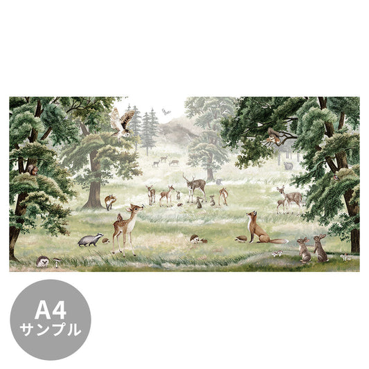 【サンプル】はがせるミューラル壁紙 のりなし KIKKI BELLE Forest Fun W13316