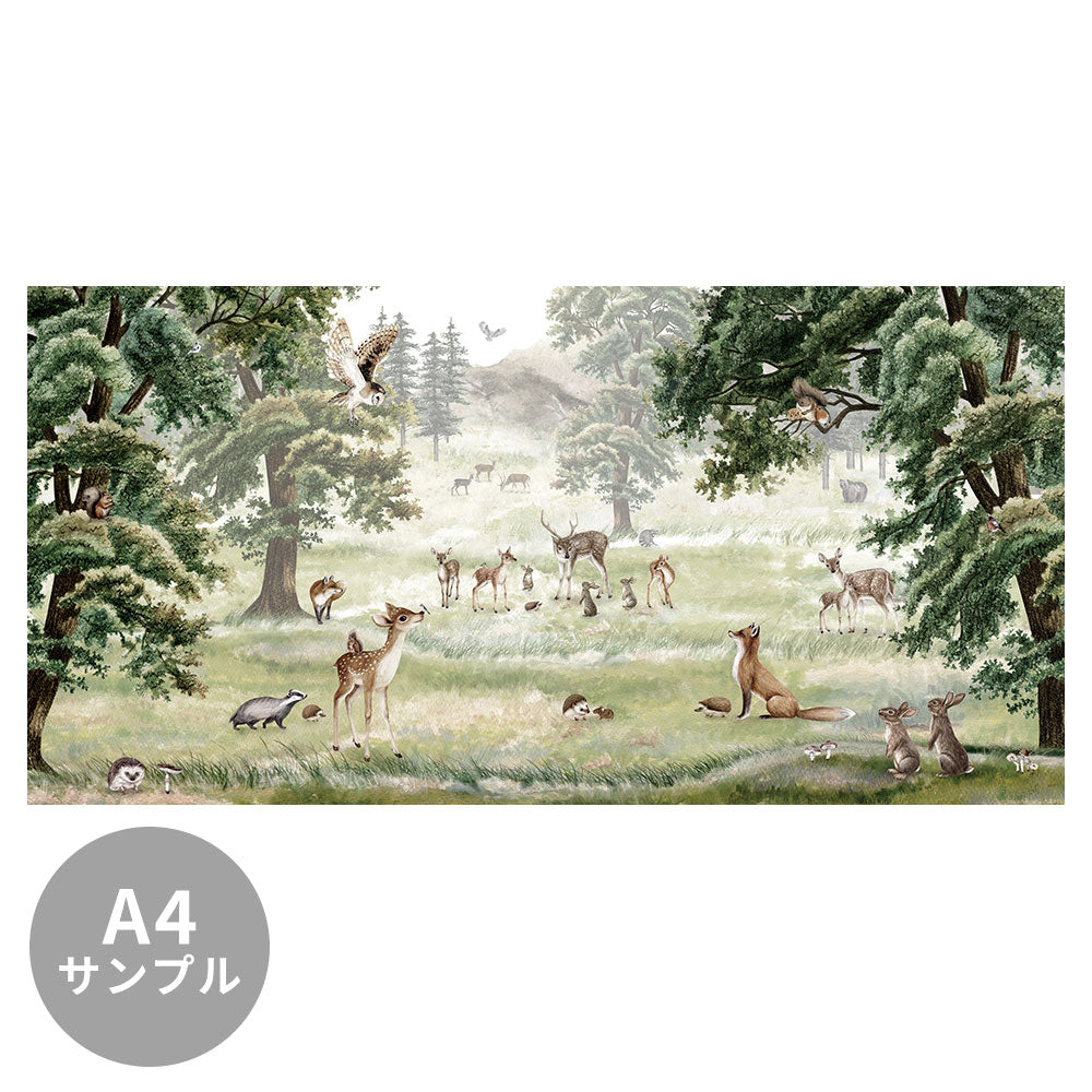 【サンプル】はがせるミューラル壁紙 のりなし KIKKI BELLE Forest Fun W13316