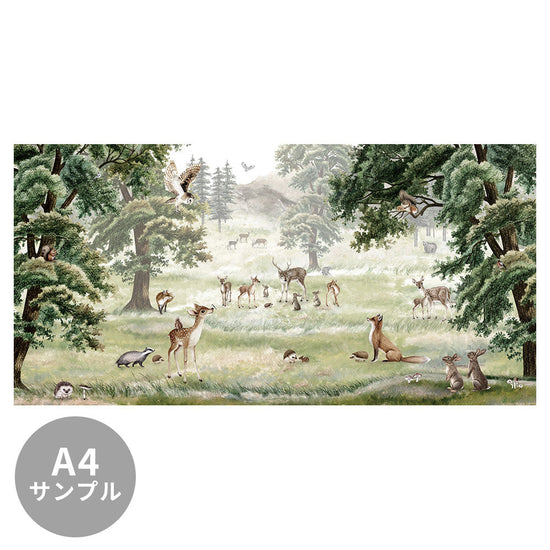 【サンプル】はがせるミューラル壁紙 のりなし KIKKI BELLE Forest Fun W13316