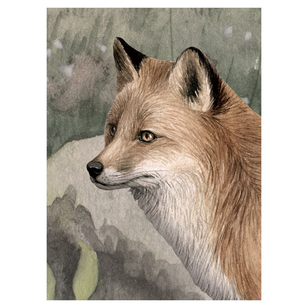 KIKKI BELLE Forest Jive W13317