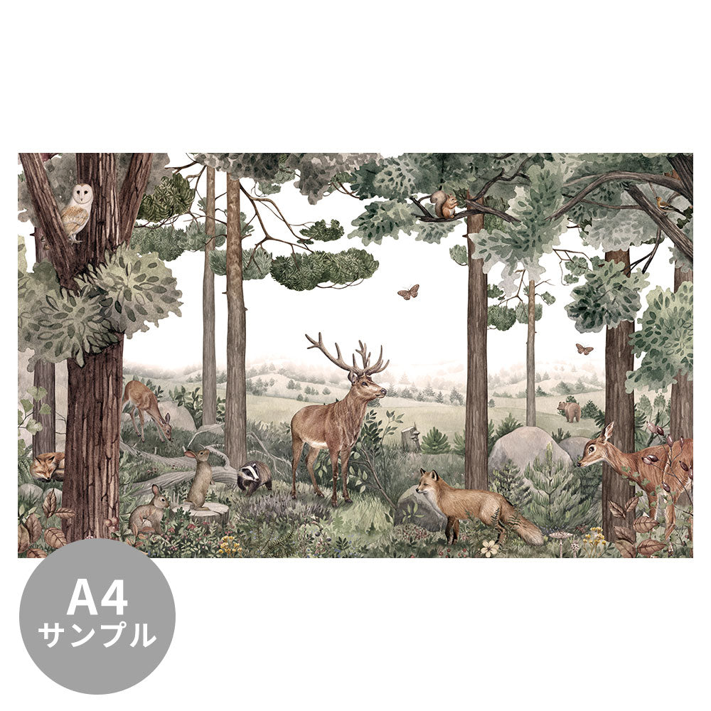 【サンプル】はがせるミューラル壁紙 のりなし KIKKI BELLE Forest Jive W13317