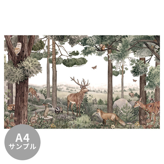 【サンプル】はがせるミューラル壁紙 のりなし KIKKI BELLE Forest Jive W13317