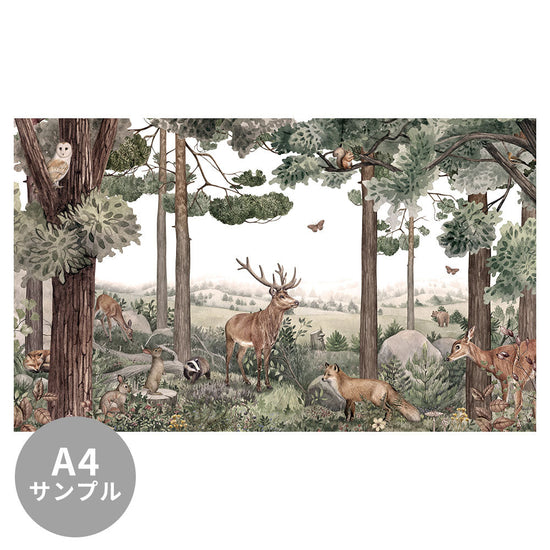 【サンプル】はがせるミューラル壁紙 のりなし KIKKI BELLE Forest Jive W13317
