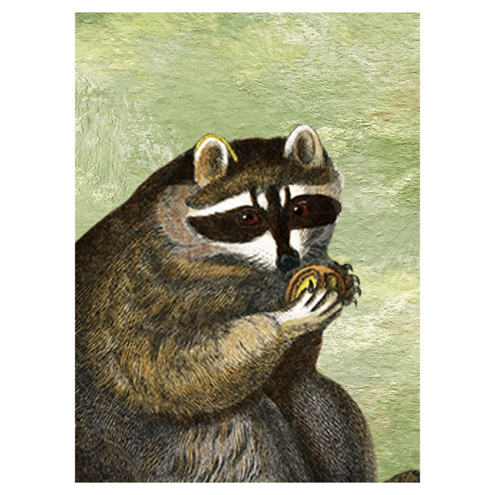 KIKKI BELLE Forest Lookbook W13318