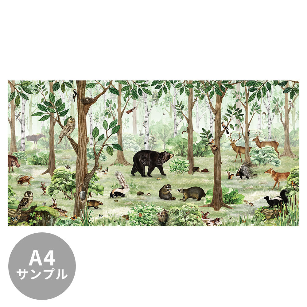 【サンプル】はがせるミューラル壁紙 のりなし KIKKI BELLE Forest Lookbook W13318