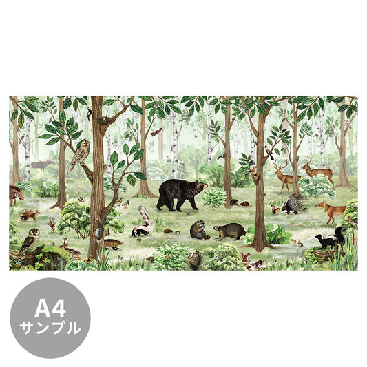 【サンプル】はがせるミューラル壁紙 のりなし KIKKI BELLE Forest Lookbook W13318