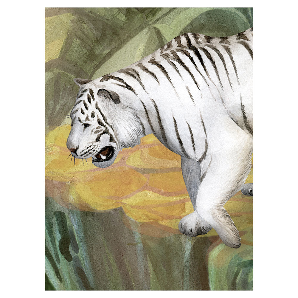 KIKKI BELLE Jungle Cats W13323
