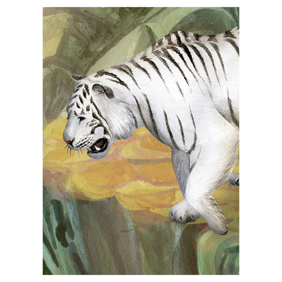KIKKI BELLE Jungle Cats W13323
