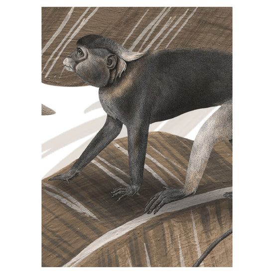 KIKKI BELLE Jungle Jive Sepia W13324