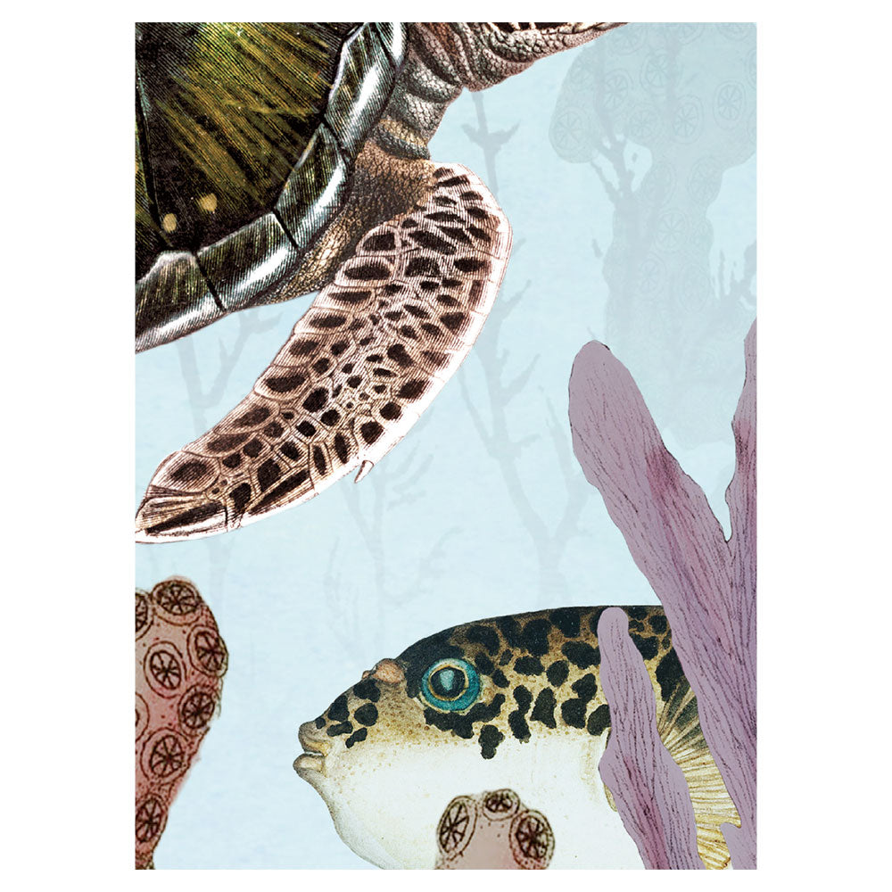 KIKKI BELLE Ocean Lookbook W13328