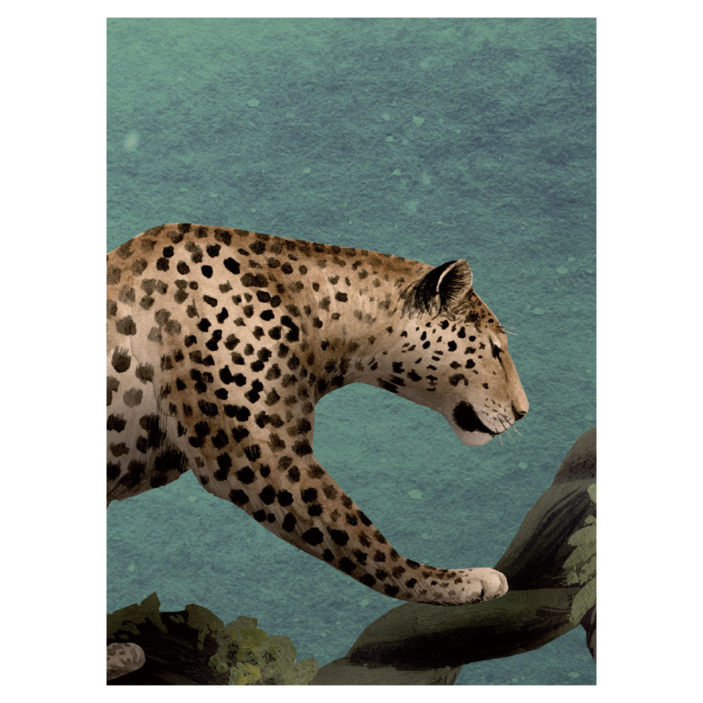 KIKKI BELLE Pretty Planets W13330