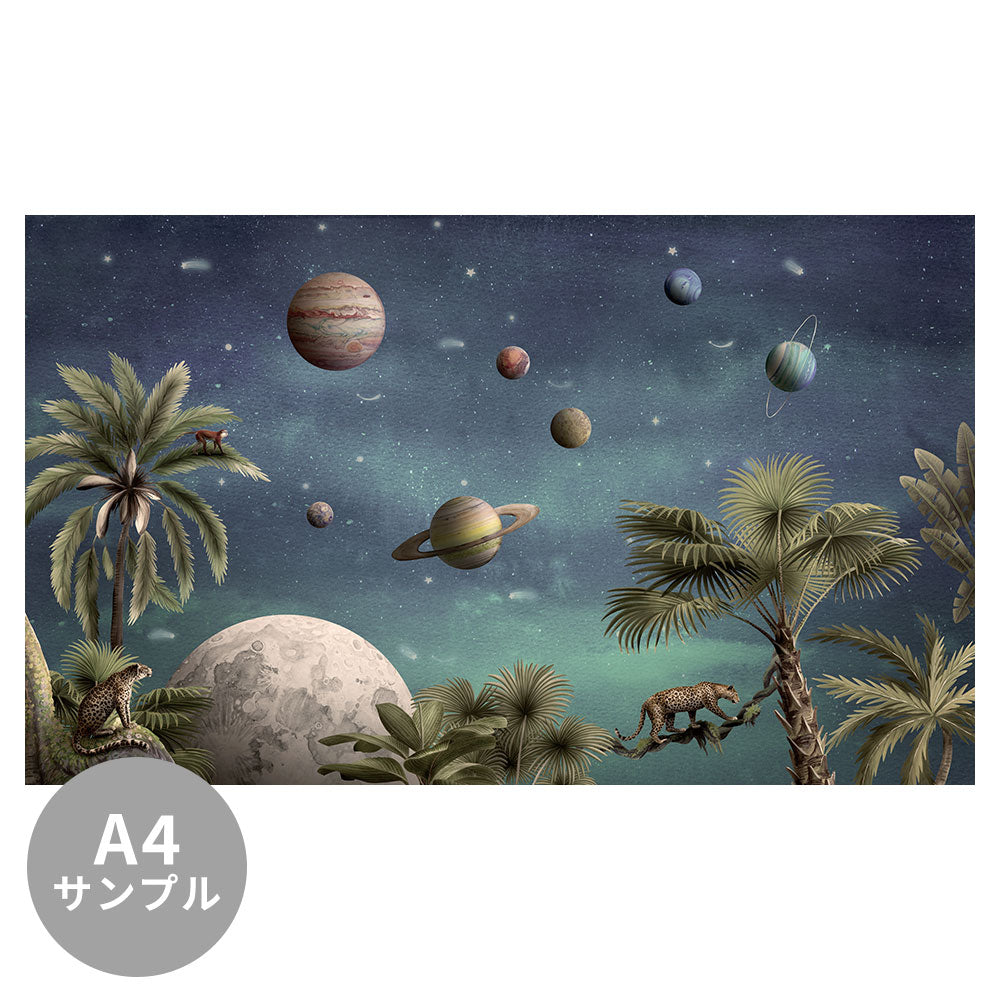 【サンプル】はがせるミューラル壁紙 のりなし KIKKI BELLE Pretty Planets W13330