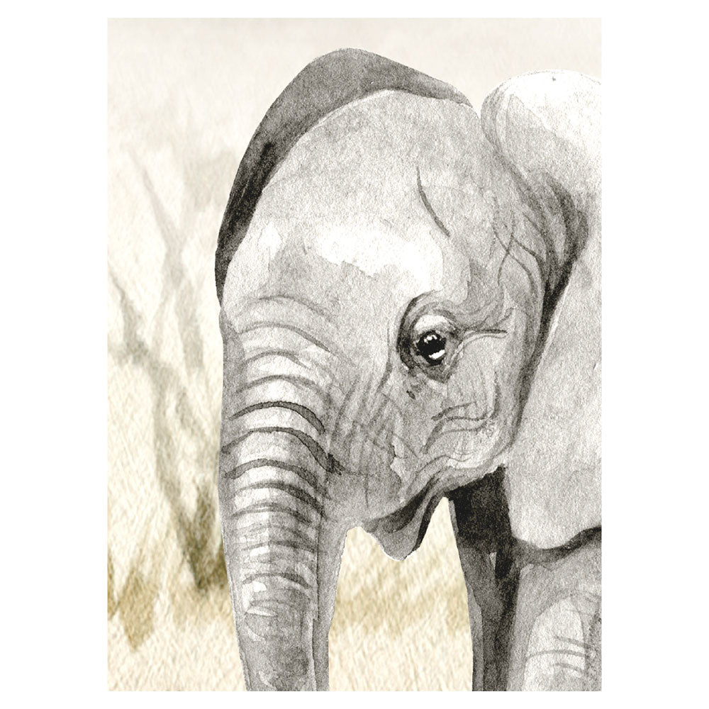 KIKKI BELLE Savannah Jive W13331