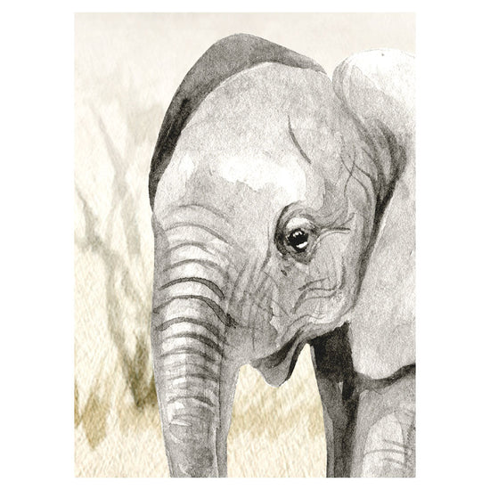 KIKKI BELLE Savannah Jive W13331