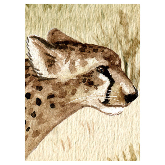 KIKKI BELLE Savanne Secrets W13332