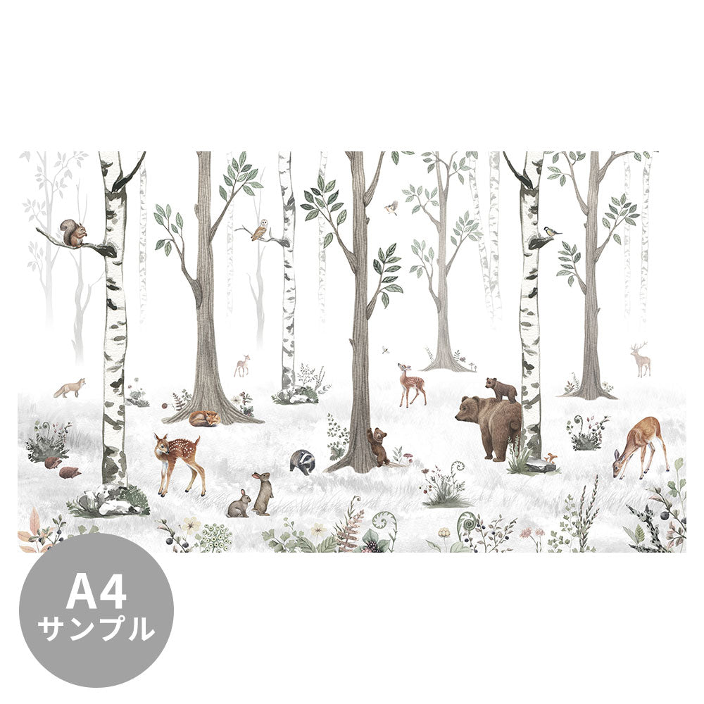 【サンプル】はがせるミューラル壁紙 のりなし KIKKI BELLE White Forest W13337