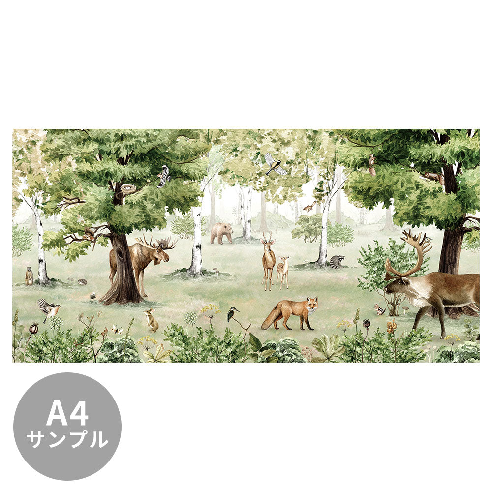【サンプル】はがせるミューラル壁紙 のりなし KIKKI BELLE Woodland Wonders W13339