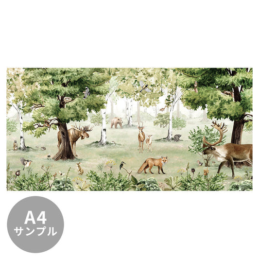 【サンプル】はがせるミューラル壁紙 のりなし KIKKI BELLE Woodland Wonders W13339