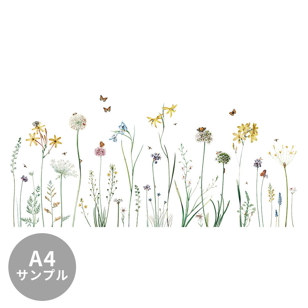 【サンプル】はがせるミューラル壁紙 のりなし KIKKI BELLE Butterfly Garden W13362