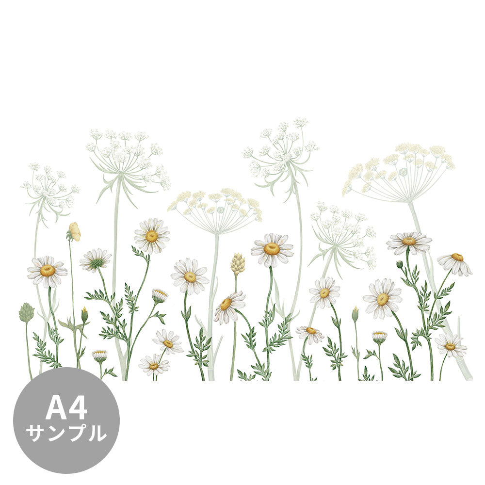 【サンプル】はがせるミューラル壁紙 のりなし KIKKI BELLE Dazzling Daisies White W13365