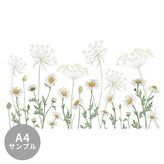 【サンプル】はがせるミューラル壁紙 のりなし KIKKI BELLE Dazzling Daisies White W13365