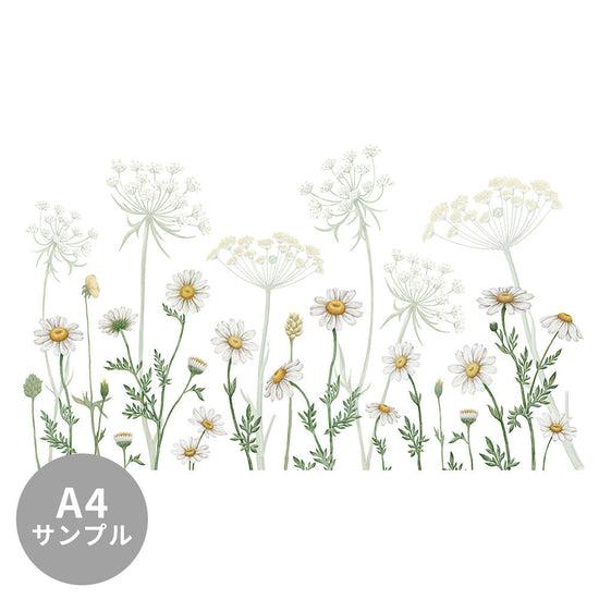 【サンプル】はがせるミューラル壁紙 のりなし KIKKI BELLE Dazzling Daisies White W13365
