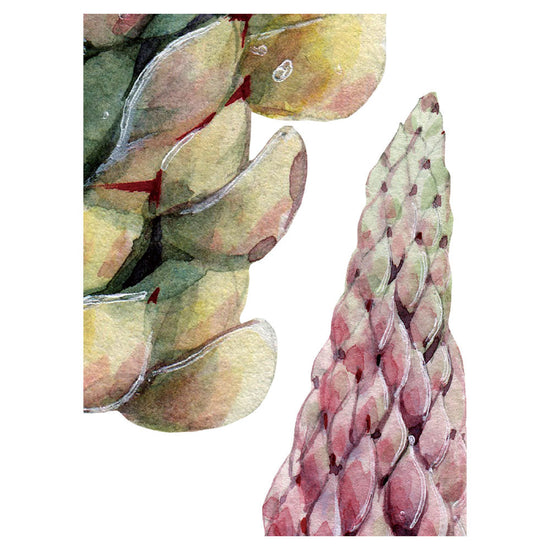 KIKKI BELLE Fabulous Flowers W13368