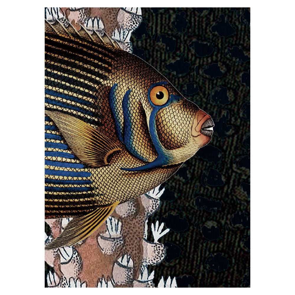 KIKKI BELLE Roaring Reef Blue W13380