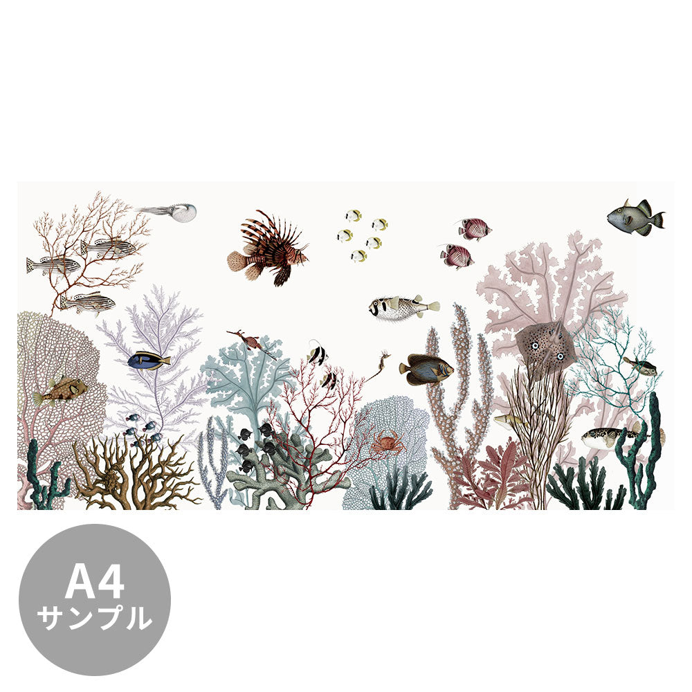 【サンプル】はがせるミューラル壁紙 のりなし KIKKI BELLE Roaring Reef - White W13381