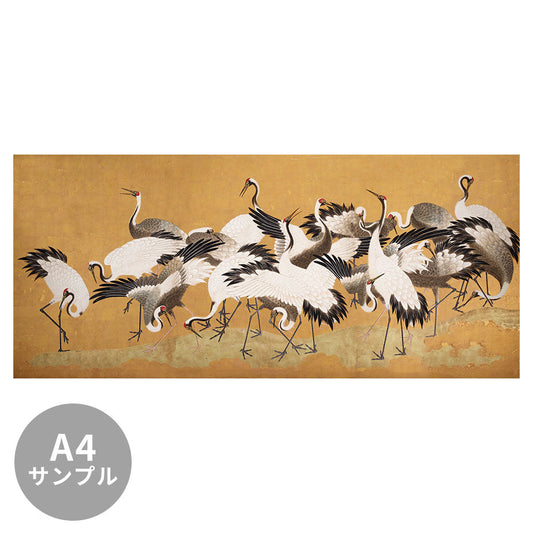 【サンプル】はがせるミューラル壁紙 のりなし Sir Edward Crane Birds W13282