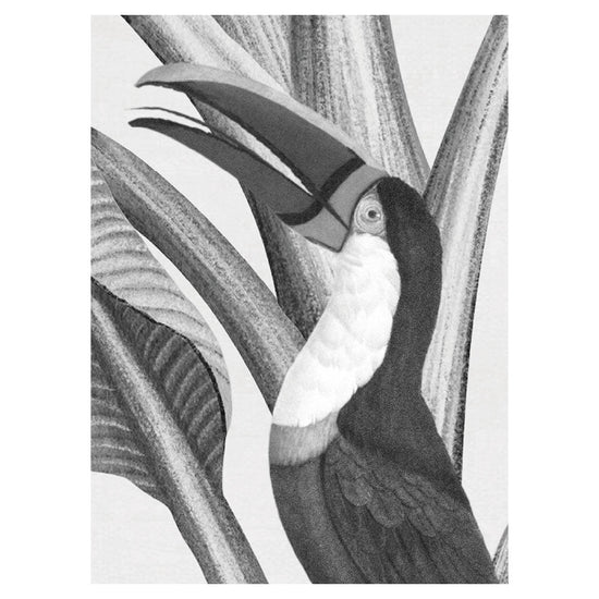 Sir Edward Botanical Beauty Black and White W13359