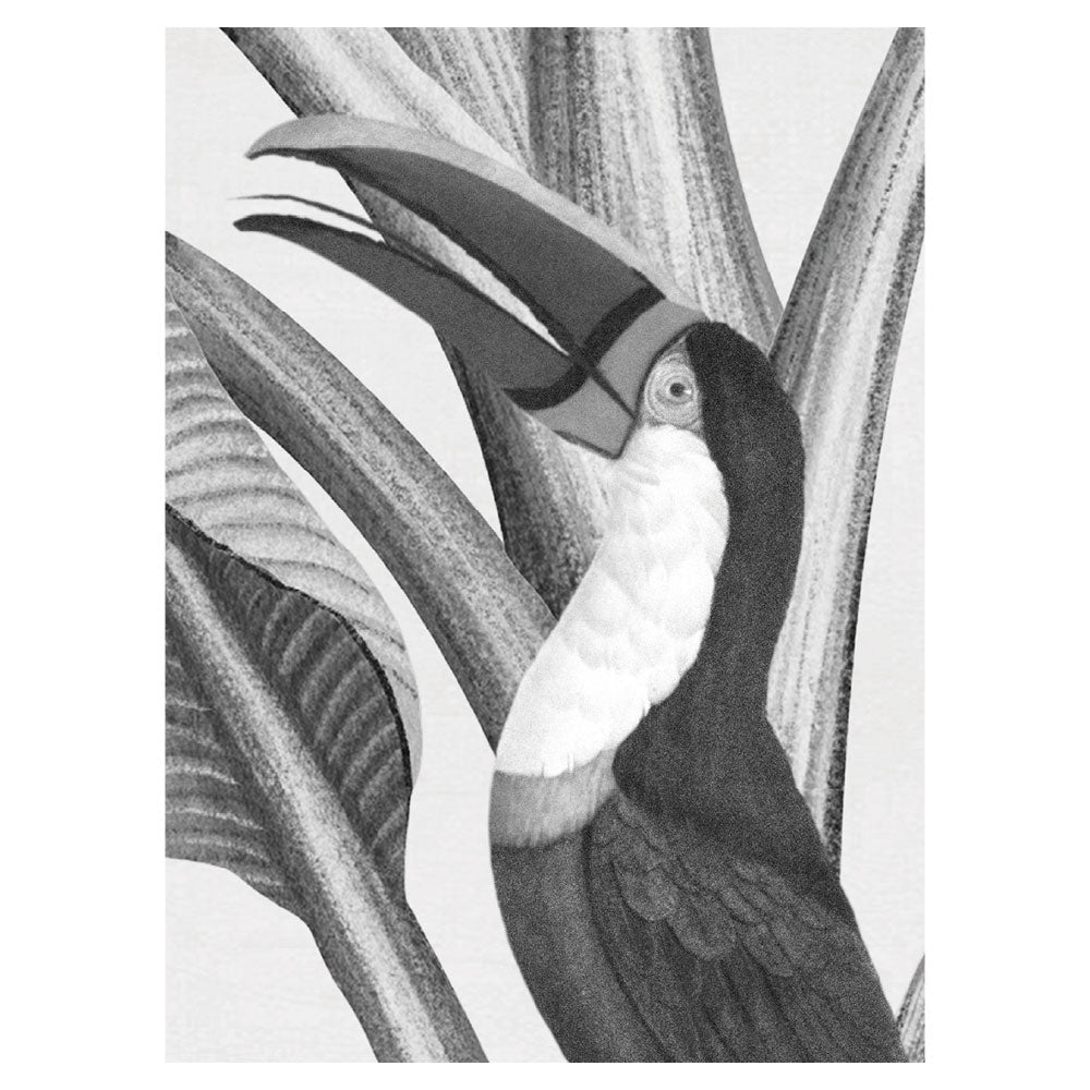 Sir Edward Botanical Beauty Black and White W13359