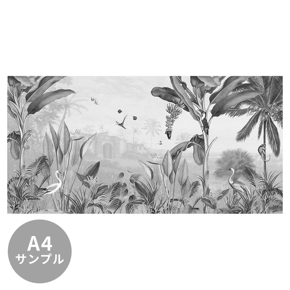 【サンプル】はがせるミューラル壁紙 のりなし Sir Edward Botanical Beauty Black and White W13359