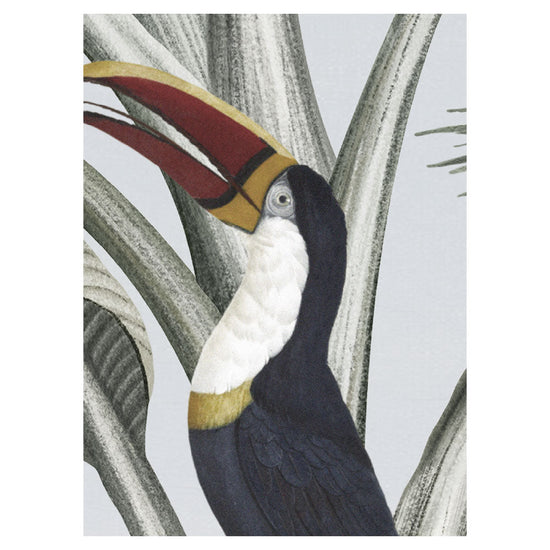 Sir Edward Botanical Beauty W13361