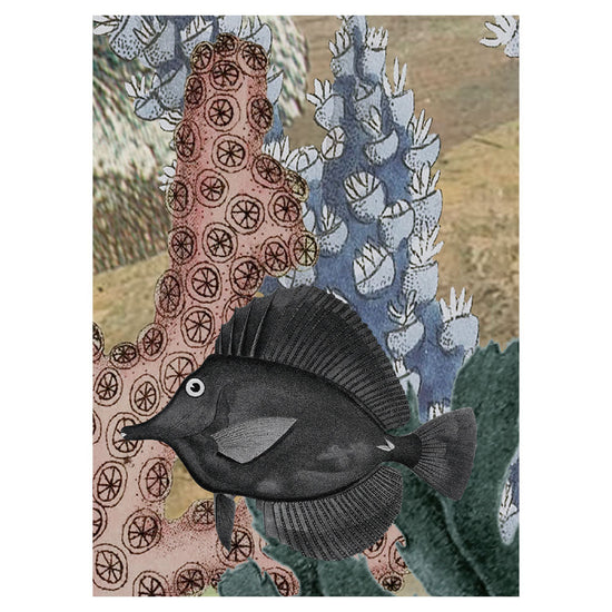 Sir Edward Coral Creatures W13363