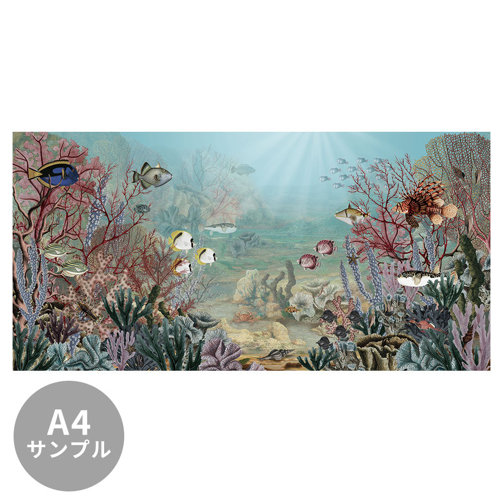【サンプル】はがせるミューラル壁紙 のりなし Sir Edward Coral Creatures W13363