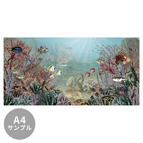 【サンプル】はがせるミューラル壁紙 のりなし Sir Edward Coral Creatures W13363