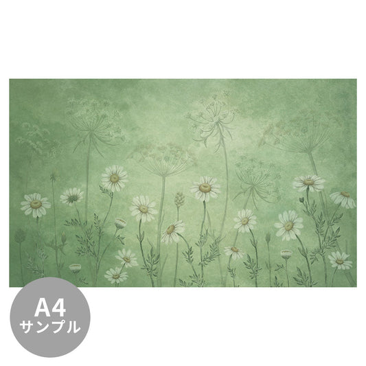 【サンプル】はがせるミューラル壁紙 のりなし Sir Edward Dazzling Daisies Green W13364