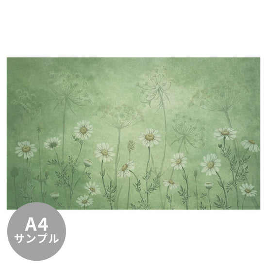 【サンプル】はがせるミューラル壁紙 のりなし Sir Edward Dazzling Daisies Green W13364