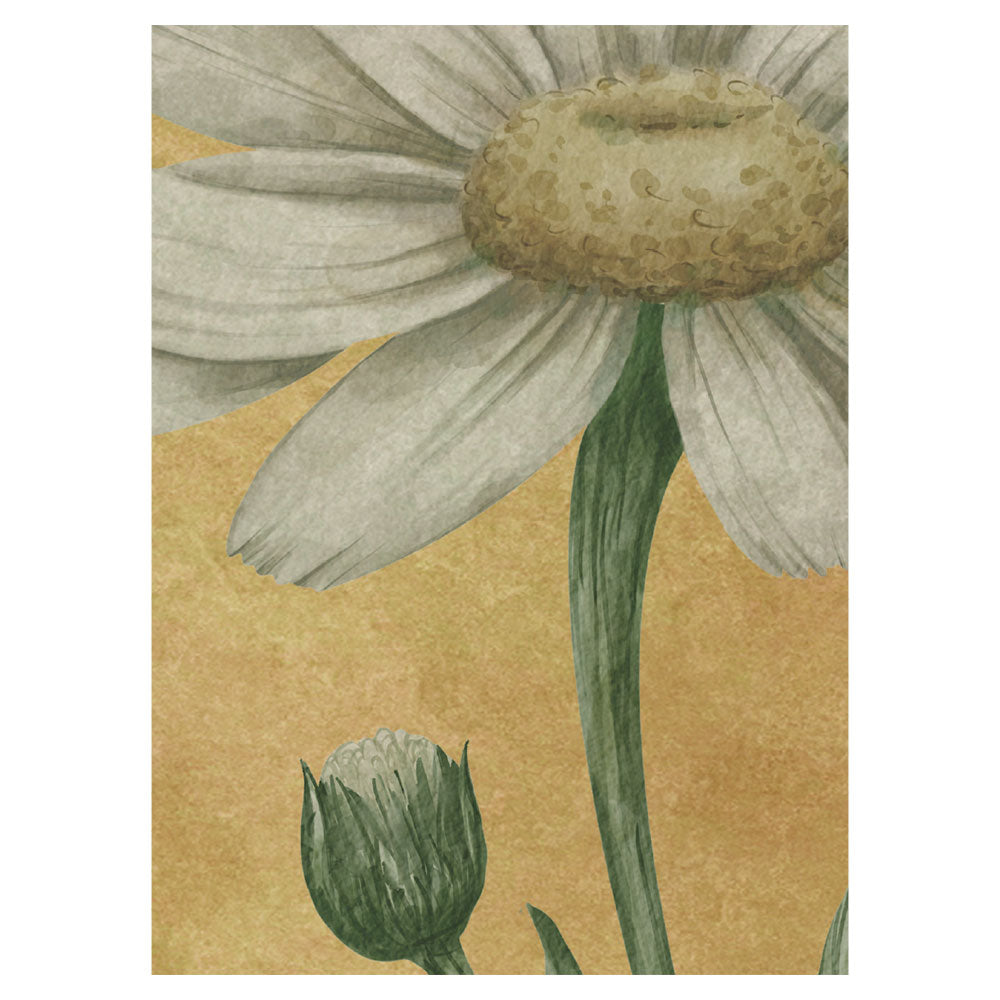 Sir Edward Dazzling Daisies Yellow W13366