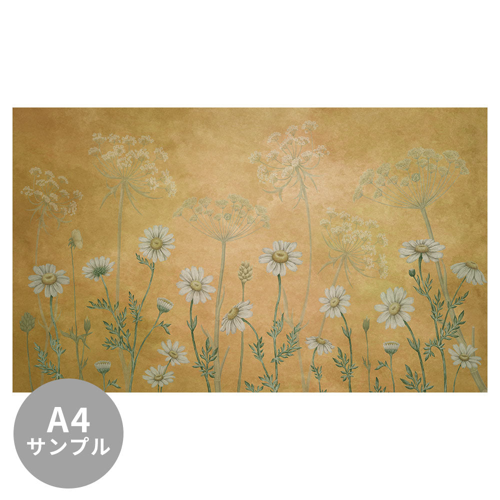 【サンプル】はがせるミューラル壁紙 のりなし Sir Edward Dazzling Daisies Yellow W13366