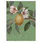 Sir Edward Lemon Tree Chinoiserie Green W13371