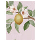 Sir Edward Lemon Tree Chinoiserie Pink W13372