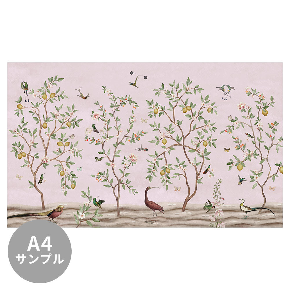 【サンプル】はがせるミューラル壁紙 のりなし Sir Edward Lemon Tree Chinoiserie Pink W13372