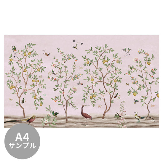【サンプル】はがせるミューラル壁紙 のりなし Sir Edward Lemon Tree Chinoiserie Pink W13372